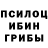 Псилоцибиновые грибы прущие грибы Alisher Sodykov