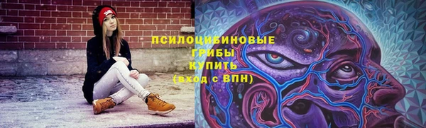 ПСИЛОЦИБИНОВЫЕ ГРИБЫ Мегион