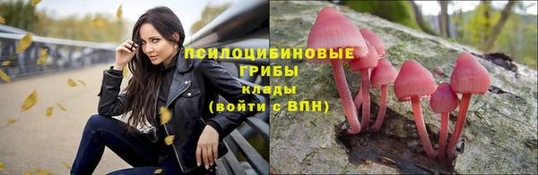 a pvp Майский
